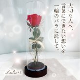 プリザーブドフラワー バラ 薔薇 ローズ 一輪 アクリルドーム ガラスドーム風 プレゼント ギフト 誕生日 記念日 プロポーズ 告白 結婚祝い 還暦 母の日 敬老の日 ホワイトデー クリスマス 彼女 妻 女性 サプライズ 贈り物 退職祝い お祝い 花 赤 かすみ草 アーティフィシャルフラワー 専用ボックス ケース付き インテリア 卓上 枯れない花 ブリザードフラワー ウエディング おしゃれ
