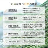 夏ラグ 夏用カーペット い草カーペット 若月 約261×261cm 江戸間 4.5畳 4.5帖 四畳半 敷き詰め 柄上敷き 花ござ い草ラグ 和モダン 市松模様