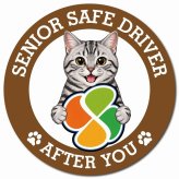 カーサイン 高齢者マーク SENIOR SAFE DRIVER アメリカンショートヘア マグネット 強力 直径13cm 肉球 日本製 車 ステッカー