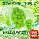 【予約商品 9月初旬出荷】シャインマスカット 山梨県産 朝採れ お中元 ギフト 山梨 5kg 7～9房 皮ごと食べられる 大粒 種なし マスカット ブドウ 葡萄 ぶどう 糖度18以上 クール便無料 送料無料