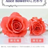 バラ 1輪 プリザーブドフラワー 花束 ブーケ 高級 薔薇 ローズ ギフト プレゼント 女性 彼女 妻 誕生日 記念日 プロポーズ 告白 結婚祝い 結婚式 電報 退職祝い 還暦祝い おしゃれ 枯れない 花