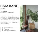 鉢カバー おしゃれ 軽い 大型 13号 11号 8号 カムラン スパングラス RD L M Sサイズ 高級 北欧 観葉植物用 サボテン 特大 玄関 インテリア プランター 深型
