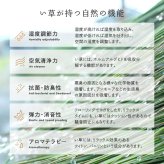 夏ラグ 夏用カーペット 国産い草カーペット せとのと 倉ノ戸 本間 2帖 2畳 柄上敷き 花ござ い草ラグ