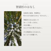 智頭杉印鑑 ラッピング付き 高級もみ革印鑑ケース付 印鑑 はんこ 10.5～18.0mm 6サイズから選べる 認印 銀行印 実印 個人印鑑 永年保証 彫刻 ギフト プレゼント