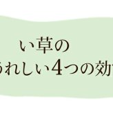 純国産 い草ごろ寝マット 『さわやか R縁Jrマット』 約70×120cm（中:固わた15mm）