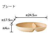 earth color ビストロセット　IV