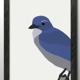 日本製 アオカケス 鳥 バード A3 サイズ ポスター アート おしゃれ 絵画 インテリア 北欧 イラスト マット紙 艶消し アートパネル 額 フレーム デザイン 壁掛け ギフト 新築祝い ディスプレイ  速達 送料無料