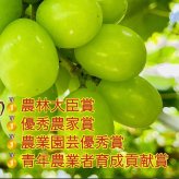 岡山県産 ぶどう シャインマスカット 300g2房 贈答用秀品 国産 フルーツ