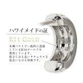 ハワイアンジュエリー フープピアス ピアス ホワイトゴールド 誕生石入れ可 半円 三日月 ハーフムーン カラーストーン 片耳(1個)購入可 K14 14K シリコンキャッチ 20G ゲージ BY THE SEA バイザシー メンズ レディース ハロウィン 【品番：GE104-10W】