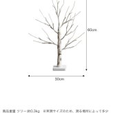 照明 ライト ツリー H60cm LED 付き 白樺風ツリー オーナメントセット Schnee シュネー ブランチツリー ミニツリー オーナメント イルミネーション 電池式 単3 軽量 卓上 麻 おしゃれ 北欧 新築祝い 引越し祝い