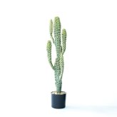 観葉植物 造花 柱サボテン BROWN 全高約71cm 卓上・小型 フェイクグリーン 本物そっくり おしゃれ インテリア 人工観葉植物 アーティフィシャルグリーン オフィス 店舗 ホテル 開店祝い 室内 ミニ サボテン カクタス フェイク
