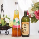 梅酒2本セット(貴梅酎スピリッツ25度(和歌山) 手作り梅酒(宮崎県)) 720ml×2本