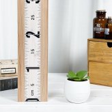 PLANCHU 多肉植物 カランコエ 子宝弁慶草 3号丸鉢 受け皿付き 育て方説明書付き Kalanchoe daigremontiana コダカラベンケイソウ  こだからべんけいそう 観葉植物