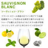 高級ワイン フランス BORDEAUX ボルドー 飲み比べセット 赤ワイン 白ワイン 2本 紅白ワイン フランス オー・メドック  メルロー ソーヴィニヨン・ブラン トワル・ド・ジュイ 750ml 2本 贈り物 プレゼント 熨斗包装 ギフト箱付 お祝い 会社 上司 送料無料
