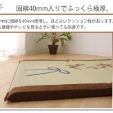 い草 い草マット 国産 マット ごろ寝マット フリーマット 『おじいちゃん 私の場所マット』 約70×150cm（中:固わた40mm）