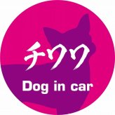 Dog in car ドッグインカー ステッカー カーステッカー チワワ 毛筆書体 ピンクパープル シール 煽り運転対策 カーサイン