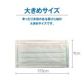 マスク アレルプルーフ 日本製 PM2.5 かぜ 花粉 ハウスダスト 個別包装 サージカル マスク 高機能不織布フィルター使用 Lサイズ 30枚入り
