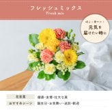 カラフルガーデン アレンジメントS  生花 花市場から直送 お祝い 誕生日 記念日