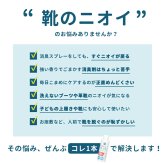 消臭 パウダー 靴 最強 消臭粉末 日本製 消臭剤 除菌 防臭 吸湿 無香料 におい消し 靴の臭い消し 足の臭い 入れるだけ 対策 粉 Parade パレード 20220615