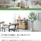 照明 ライト パキラ 観葉植物 人工 フェイクグリーン 室内 リビング オフィス 一人暮らし 緑 インテリア 光触媒 空気清浄 消臭 抗菌 防汚 ホルムアルデヒド分解 おしゃれ 高さ150cm 造花 植木 鉢植え 新築祝い 開店