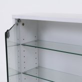 不二貿易 コレクションケース 4段 ロータイプ ガラス棚 収納機能 フィギュア収納に最適 高さ90cm 幅90cm 奥行き29cm 透明ガラス ほこり防止