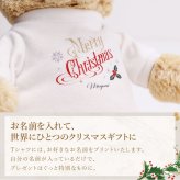【名入れ】 テディベア ぬいぐるみ 花 ソープフラワー くま名入れ 名前 ギフト かわいい クマ 枯れない 花束 クリスマス プレゼント フラワーギフト サンタ 記念日 女性 彼女 妻 女友達 娘 孫 サプライズ 贈り物 《 テディベア フアッフィー クリスマス 》 翌営業日出荷