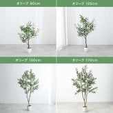 【高さ170cm】光触媒人工観葉植物 オリーブ 幅70cm×奥行60cm×高さ170cm オフィス 天然木 ポリエステル 組立品 お部屋に気軽に飾れて空間を美しく彩るフェイクグリーン 本物の植物のようなリアルな質感とインテリアに馴染む風合いが魅力です
