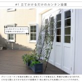 アイアンフェンス アイアン製グリーン アーガイル 2枚組 フェンス アイアン グリーンフェンス ゴーヤ 薔薇 バラ 朝顔 庭 ベランダ ガーデニング 枠 柵 仕切り 目隠し 境目 アンティーク トレリス 園芸 ラティス 屋外 ガーデンフェンス 庭用品 新生活
