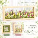 ギフト プレゼント 花 プリザーブドフラワー 洋風 花心／送料無料 プレゼント ギフト 出産祝い 結婚祝い 結婚記念日 誕生日 プロポーズ 退職祝い 引越し祝い バラ 花 おしゃれ 電報 祝電 還暦祝い 長寿祝い サプライズ 額縁 フレーム