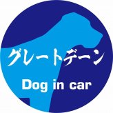 Dog in car ドッグインカー ステッカー カーステッカー グレートデーン 毛筆書体 ブルー シール 煽り運転対策 カーサイン