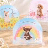 ペット メモリアル 写真入りアクリルスタンド うちの子メモリー | ペット供養 アクリルスタンド 写真入り 名入れ うちの子グッズ うちの子メモリアル メモリアルグッズ 犬 猫 うさぎ ペット仏具 ペット遺影 名入れ アクリル 写真 アクリル 命日 生年月日入り 虹の橋 お悔やみ