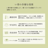 夏ラグ 夏用カーペット 上敷き ゴザ 敷詰 カーペット い草 自然素材 日本製 国産 消臭 抗菌防臭 麻の葉 レトロ 和 江戸間10畳 約435×352cm