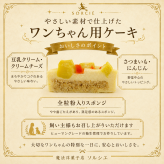 犬用 ベイクドチーズケーキ ボーンクッキー付 【選べるサイズ： 2号（超小型犬用）、 3号（小型犬～中型犬用）】 【選べる付属品： バースデー 飾り クリスマス 飾り】 わんちゃん用 犬用ケーキ 犬 ドッグ ドッグケーキ