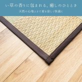 夏ラグ 夏用カーペット 『DXサラ』 261×261cm