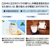 日東紅茶 塩とライチ 60本 588g スティック 粉末清涼飲料 沖縄産海塩水分 塩分補給 カフェインゼロ [2028.04迄]