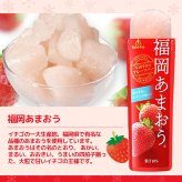 【 送料無料 】 ゴールドパック 凍らせておいしい NIPPON フルーツバー 10本 まとめ買い