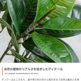 照明 ライト ナチュレ 観葉植物 オリーブ フェイクグリーン 人工 室内 リビング オフィス 一人暮らし 緑 光触媒 空気清浄 消臭 抗菌 防汚 ホルムアルデヒド分解 高さ150cm 造花 おしゃれ 植木 鉢植え 観賞用 グリーン