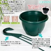 PLANCHU 観葉植物 ホヤ クミンギアナ 5号吊り鉢 育て方説明書付き Hoya cumingiana サクララン 桜蘭