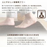 ラグ カーペット 洗える玄関マット 45×90cm 【ヴィタム-Witam-】