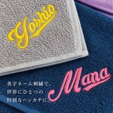 【名入れ刺繍 】今治タオルハンカチ 《スポーツライン》（今治 ハンカチ 今治ハンカチ ギフト プレゼント 誕生日 卒業 記念品 タオルハンカチ ハンカチタオル オリジナル おしゃれ かわいい シンプル 雑貨 無地 綿100％ 日本製 カラフル メンズ レディース）