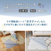 ラグ カーペット 除湿シート 用除湿シート 下シート 湿気取り 防カビ 防臭 消臭 結露対策 カビ対策 吸湿センサー付き 洗える 繰り返し使える 滑り止め フリーカット ホット 対応 床暖房対応 絨毯 敷物 梅雨対策 夏 冬 湿気対策 快適 日本製 新生活