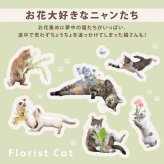 沖昌之×Wpc. 肉球アンブレにゃん ミニ 折りたたみ傘 ビニール傘 PT-OM-005-002 定形外 送料無料 ねこ アンブレにゃん 折りたたみ 透明 雨傘