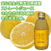 3種類の柑橘ストレートジュース（みかん・せとか・河内晩柑）200ml ギフト箱 愛媛県産【贅沢な果汁100％】送料無料