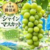 【シャインマスカット】２ｋｇ箱（３房前後）山梨県勝沼産10月～11月初旬発送予定。【送料無料】