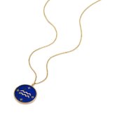 フォッシル FOSSIL Sutton アクセサリー ネックレス ペンダント みずがめ座 レディース JF04849710