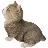 置物 猫 見上げるマンチカン ブラウン 幅16cm woobia ウービア リアル かわいい おしゃれ 玄関 インテリア オブジェ ガーデン マンチカン キジトラ ネコ 動物 アニマル 癒し 棚 北欧 リビング プレゼント ギフト 新築祝い 猫好き
