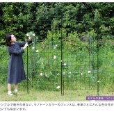 ガーデン エクステリア アイアンフェンス 高さ226 「グラフ」 2枚組 フェンス アイアン ガーデニング 枠 柵 仕切り 目隠し 境目 クラシカル アンティーク 格子 ベランダ つる 薔薇 バラ 朝顔 園芸 ラティス つるバラ 庭誘引 屋外 新生活