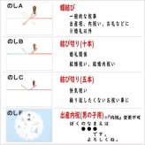 【送料無料・包装無料・のし無料】ボジョルナ 珪藻土ソフトマット2Pセット MJ-0753(A3) /ギフト お歳暮 入学祝い 卒業祝い 就職祝い 結婚祝い 誕生日 出産祝い 引越祝い 香典返し 新盆 初盆 御礼 内祝い 快気祝い ご挨拶 志 法事