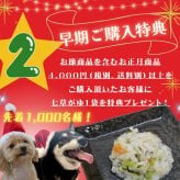 「 ハッピー クリスマス ロールケーキ 」 ワンちゃんもネコちゃんも飼い主さんも食べられる 美味しく贅沢なグルテンフリーケーキ ペットも飼い主様も大好きなケーキ♪ 家族みんなで美味しい贅沢をお楽しみください。はなとしっぽ初の人用ケーキコラボ商品！