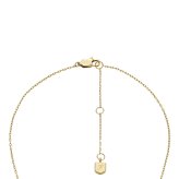 フォッシル FOSSIL Ellis アクセサリー ネックレス＆ピアス ギフトセット レディース JF04815SET